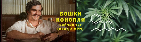 прущие крисы Арсеньев