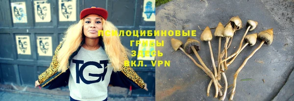 прущие крисы Арсеньев