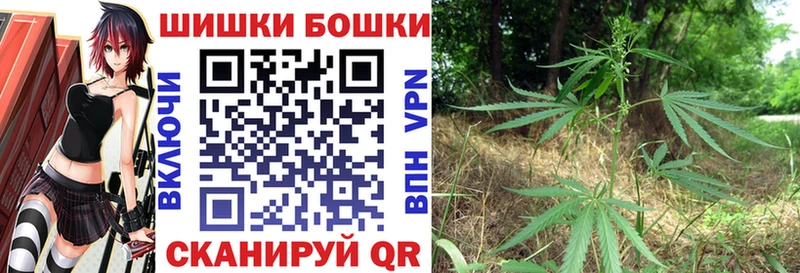 купить наркотик  Старая Русса  Конопля ГИДРОПОН 